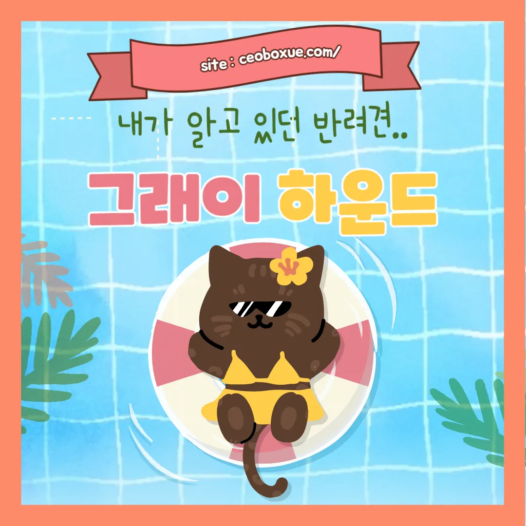 그래이하운드 썸내일