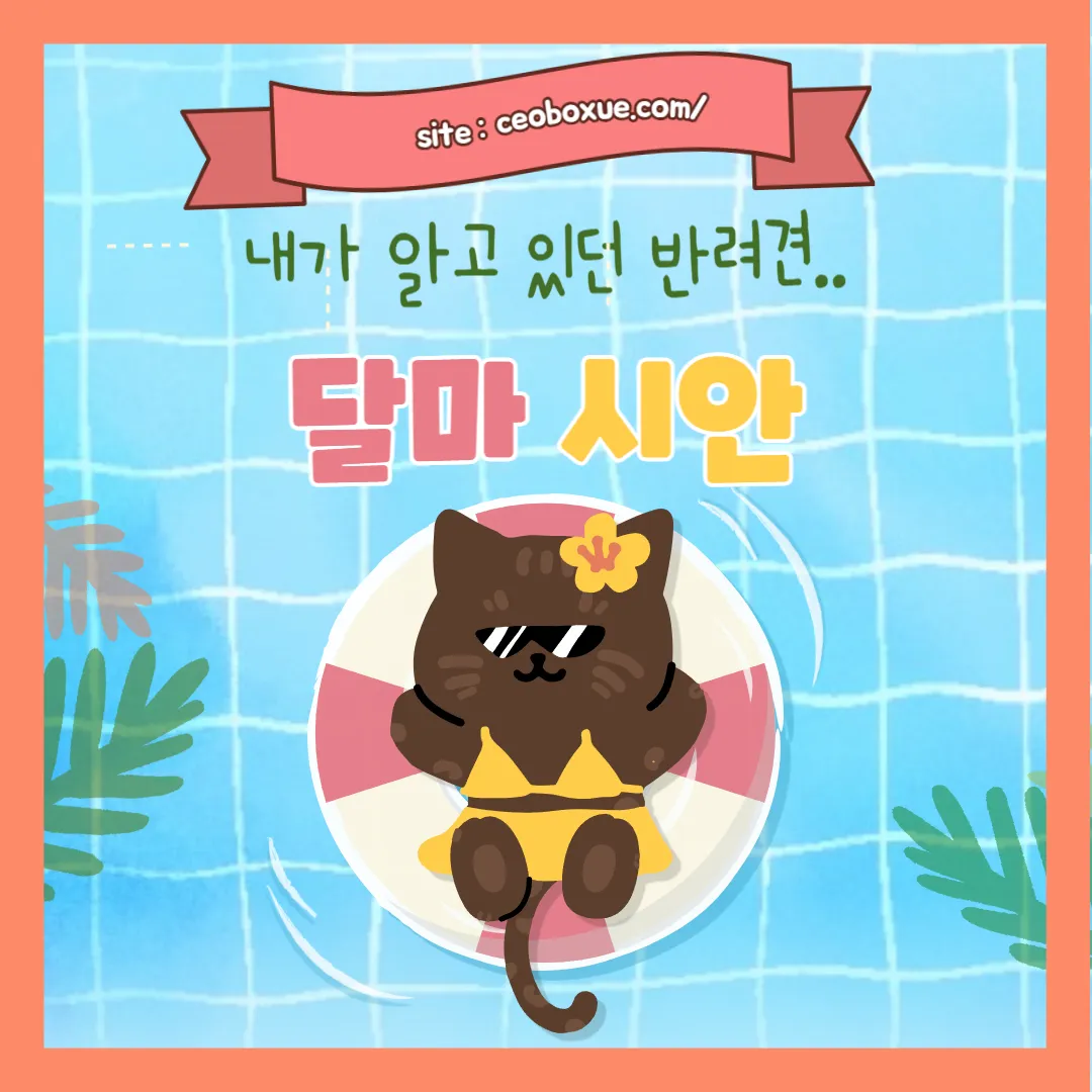 달마시안 썸네일