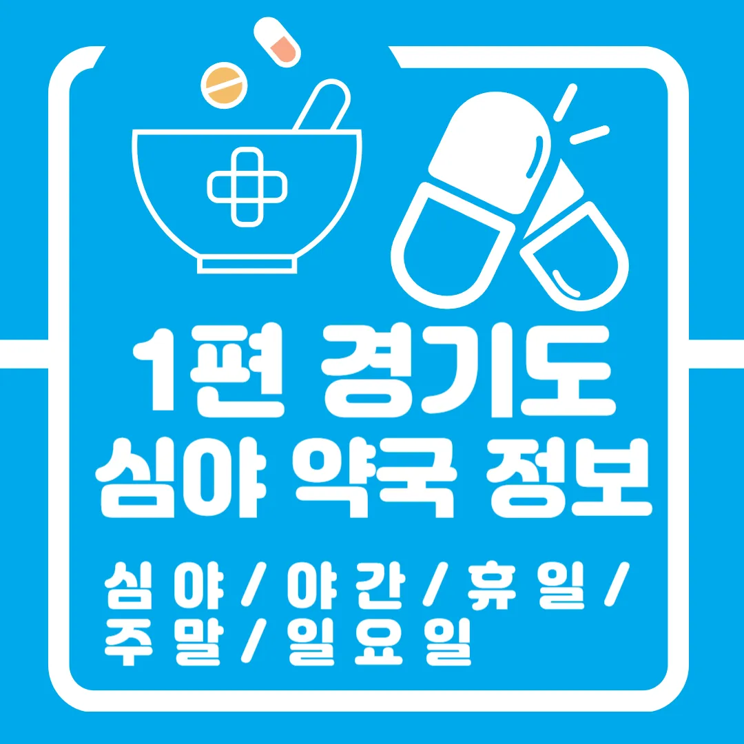 1편 경기도 심야 약국 정보