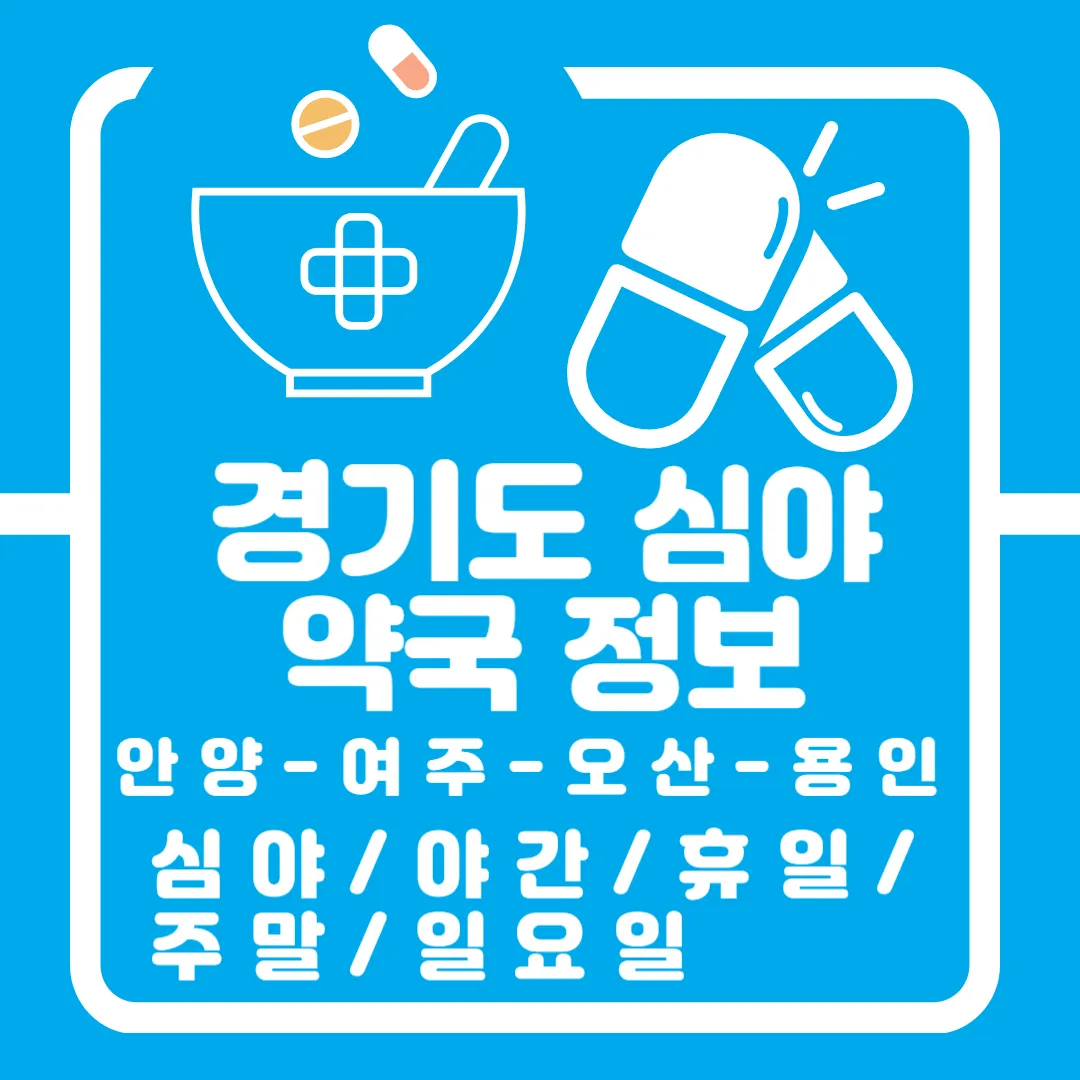 4편 경기도 심야 약국 정보