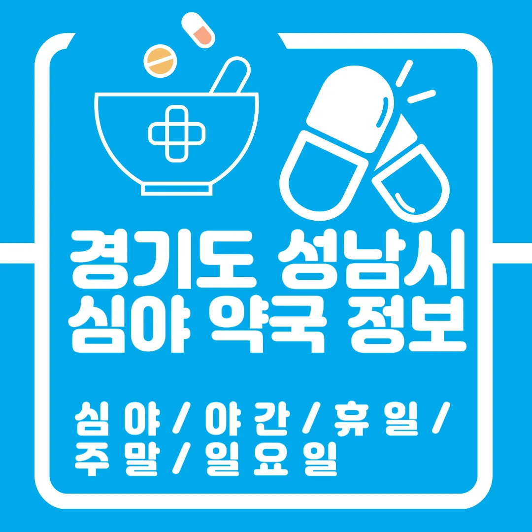 경기도 성남 심야 약국