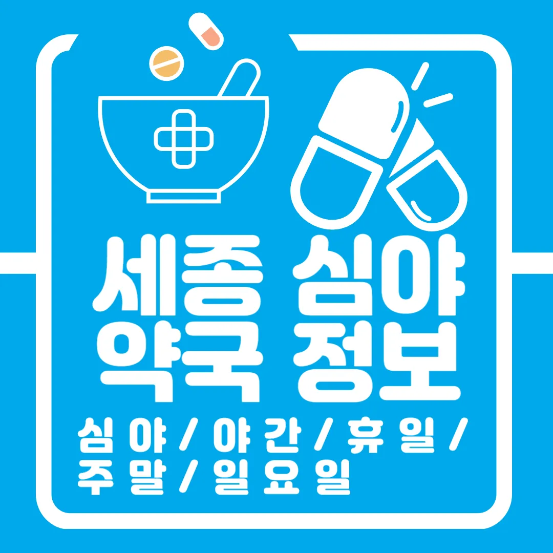 세종 심야 약국 정보